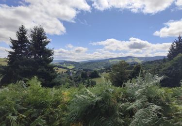 Tour Wandern Chalmazel-Jeansagnière - Au dessus de Chalmazel  - Photo