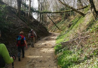 Trail Walking Marennes - 69 marennes-villette-V2-17km-420m - Photo