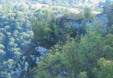 Trail On foot  - Carașova - Comarnic (Cheile Carașului ) - Photo