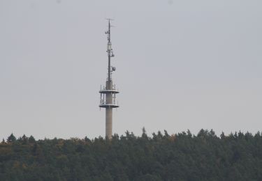 Tocht Te voet Gemünden am Main - Rote Schnepfe, Zollberg-Langeprozelten - Photo