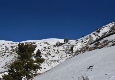 Trail Snowshoes Orcières - 2020-01-20_15h07m48_Orcieres-11-Boucle-la-Forest-des-Marches-et-les-Marches - Photo