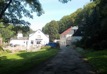 Tour Zu Fuß Sangerhausen - Wildrosenpfad - Photo