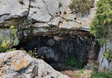 Tour Wandern Mimet - le Baou traouca et la grotte des fées - Photo
