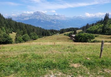 Tour Wandern Combloux - 230815 - Photo