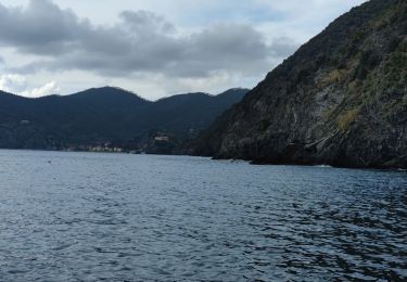 Excursión Senderismo Riomaggiore - Riomaggiore to Vernazza  - Photo