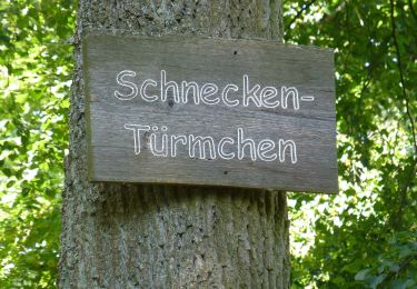 Percorso A piedi Kirchheimbolanden - Kirchheim-Bolanden Rundwanderweg Nr. 6 - Photo