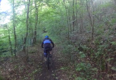 Trail Mountain bike Genappe - VTT de genappes - Photo