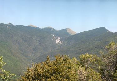 Tour Wandern Saou - Tour de la Forêt de Saoû - Photo