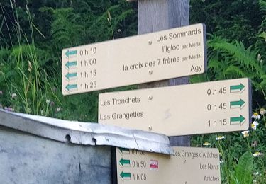 Trail Walking Arâches-la-Frasse - randonnée en forêt, les Carroz, Araches, la Frasse - Photo