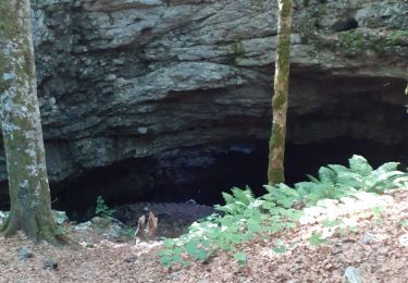 Trail Walking Saint-Martin-en-Vercors - grotte de la cheminée  - Photo