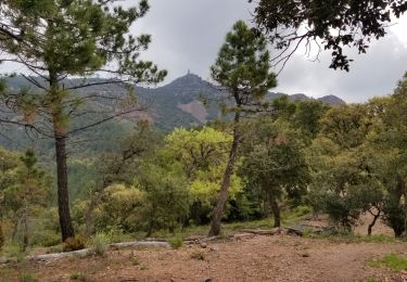 Trail Walking Fréjus - Col du Testanier - le mont vinaigre - Photo