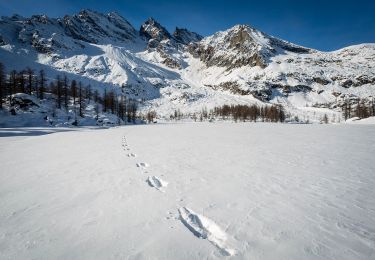Tocht Te voet Ceresole Reale - IT-531A - Photo