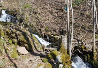 Trail Electric bike La Bresse - décrassage du samedi matin - Photo