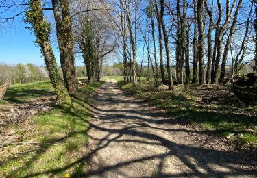 Trail Walking Rieupeyroux - Tour du Pradal - Photo