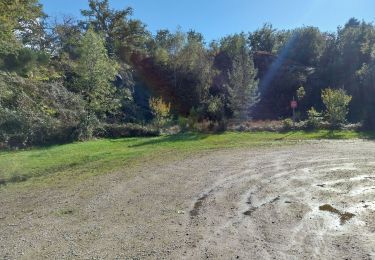 Trail Walking Bort-les-Orgues - Chute de la Saule - Photo