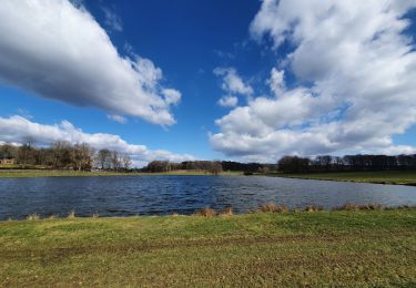 Tour Wandern Libramont-Chevigny - rando bras-bas 19/03/2021 - Photo