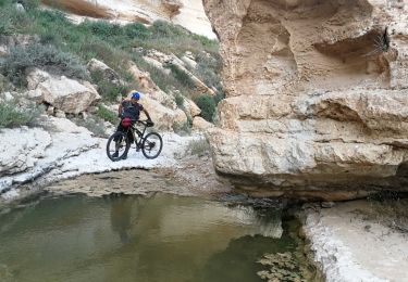 Randonnée A pied Conseil régional de Ramat Negev - IL-15288 - Photo