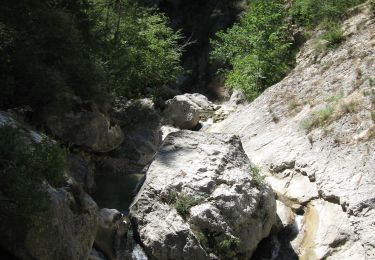 Trail Walking Estoublon - gorges de trevans - Photo