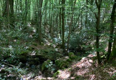 Trail Walking Brassac - Gorges de Sarazy  - Photo