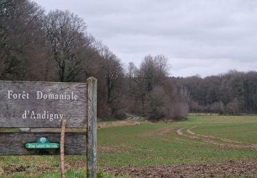 Randonnée Marche Seboncourt - forêt d'andigny - Photo