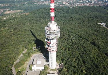 Tocht Te voet Pécs - Pécsi Erdei körtúra 1. - Photo