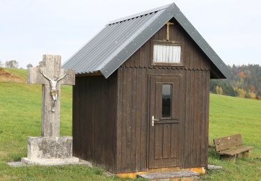 Percorso A piedi Presseck - Nordeck-Weg HRW 7 - Photo