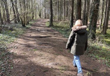 Tocht Stappen Durbuy - Barbaux -Ourthe - Photo