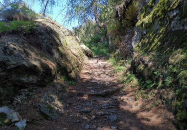 Trail On foot Sueglio - Percorso n.3 