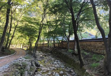 Tour Wandern  - Boucle des Peak sur les crêtes autour du temple Naejangsa  - Photo