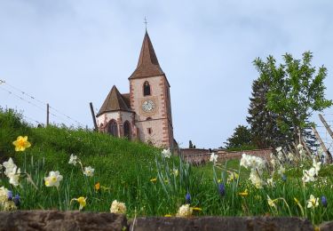 Tour Wandern Mittelweier - Mittelwihr - Beblenheim - Zellenberg - Hunawihr  - Riquewihr -  Nécropole de Sigolsheim - Photo