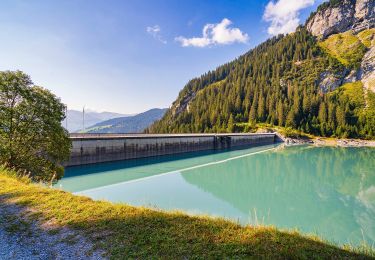 Tocht Te voet Ilanz/Glion - Pigniu - Alp Ranasca - Photo