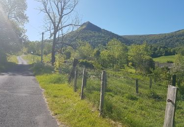 Trail Walking Saint-Paul-de-Salers - Tracé actuel: 18 MAI 2020 09:52 - Photo