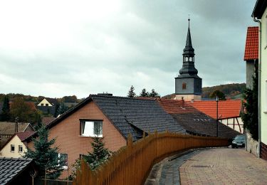 Randonnée A pied Südharz - Rundweg Hainrode - Photo