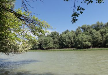 Percorso A piedi Baja - K+ (Nyárilegelő - Cserta-híd) - Photo