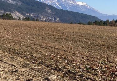 Randonnée Marche Barsac - Ste croix reco - Photo