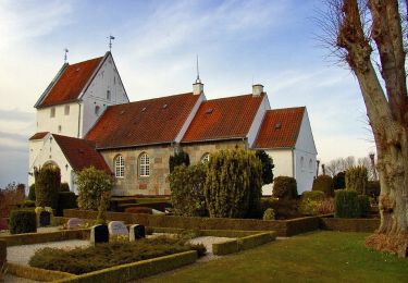 Randonnée A pied  - Sporet i Bjerning Sogn - Photo