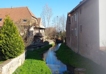 Percorso Bici da strada Rohrbach-lès-Bitche - Sortie Ã  vÃ©lo matinale - Photo