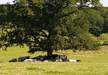 Randonnée Marche Chimay - Adeps chimay 23.06.19 - Photo