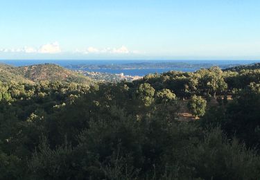 Tocht Stappen Sainte-Maxime - Le col  - Photo