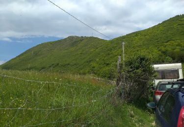 Percorso A piedi Gargnano - Bivio Tampa (Tignale) - Bocca Premaur (Gargnano) - Photo