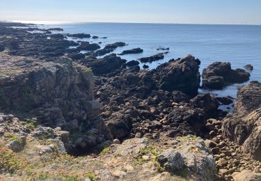 Percorso Sentiero Batz-sur-Mer - Tour du Croisic(20.5K 100D+) - Photo