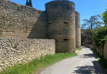 Tour Wandern Cabrières-d'Avignon - Cabrières d’Avignon mur de la peste  - Photo