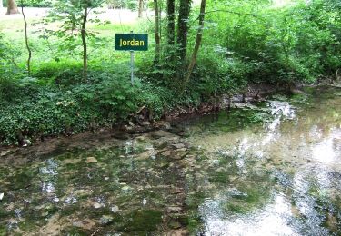 Tour Zu Fuß Bad Lippspringe - U (Bad Lippspringe) - Photo