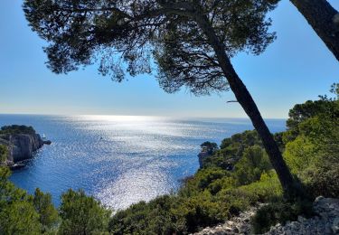 Trail Walking Cassis - Calanques Port-Miou, Port-Pin, En-Vau - Photo