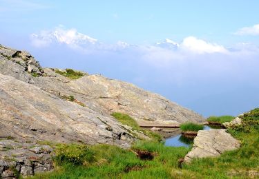 Excursión A pie Malesco - P17 - Bivio M14 presso Cima della Laurasca - Rifugio Bta di Campo - Cima Pedum - Photo