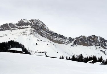 Tour Schneeschuhwandern École - 2021-01-20 - Photo