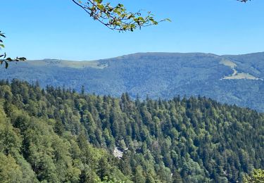 Tocht Stappen Ventron - Autour du bussant  - Photo