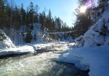 Excursión A pie Kuusamo - Pieni Karhunkierros - Photo