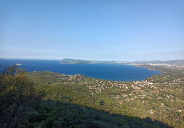 Trail Walking Carqueiranne - Trois forts vers les Oursinieres  - Photo