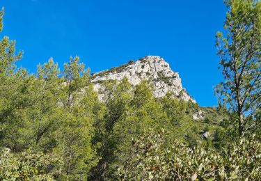 Trail Walking La Valette-du-Var - Coudon fort Girardin sud - Photo